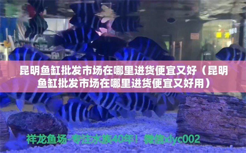 昆明魚缸批發(fā)市場(chǎng)在哪里進(jìn)貨便宜又好（昆明魚缸批發(fā)市場(chǎng)在哪里進(jìn)貨便宜又好用） 錦鯉魚