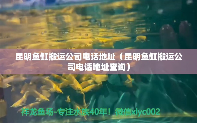 昆明魚(yú)缸搬運(yùn)公司電話地址（昆明魚(yú)缸搬運(yùn)公司電話地址查詢）