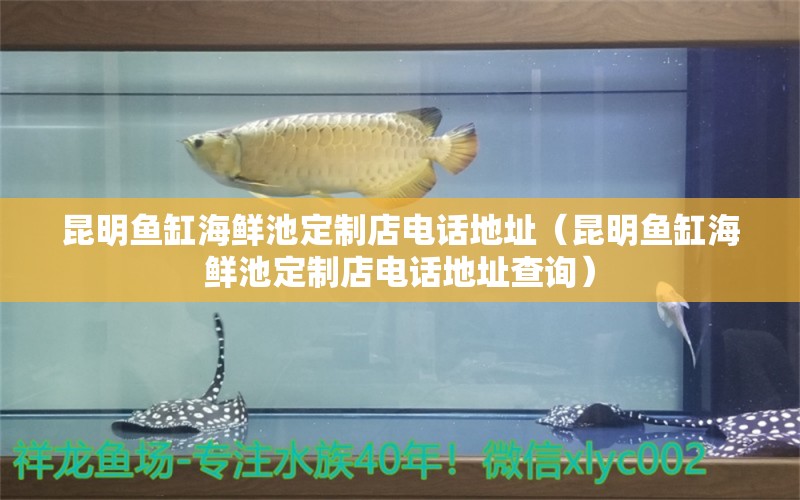 昆明魚缸海鮮池定制店電話地址（昆明魚缸海鮮池定制店電話地址查詢） 黃金夢(mèng)幻雷龍魚