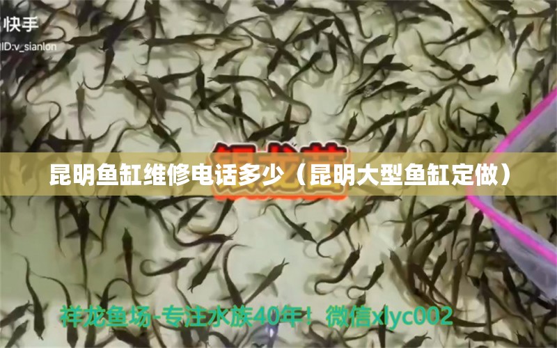 昆明魚缸維修電話多少（昆明大型魚缸定做）