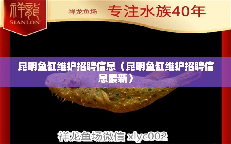 昆明魚缸維護招聘信息（昆明魚缸維護招聘信息最新） 其他品牌魚缸