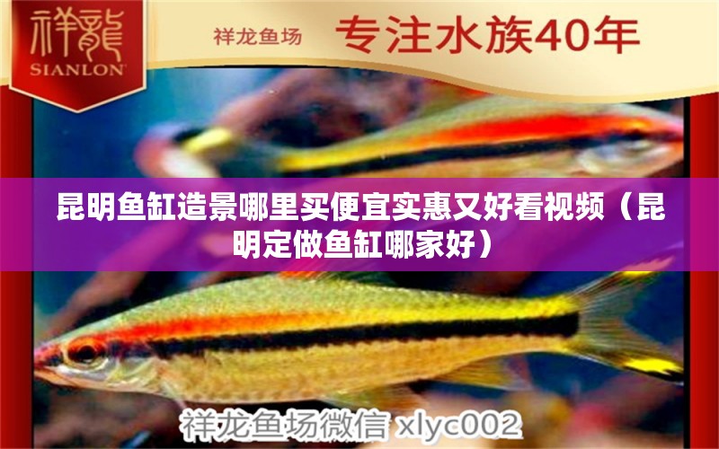 昆明魚缸造景哪里買便宜實(shí)惠又好看視頻（昆明定做魚缸哪家好）