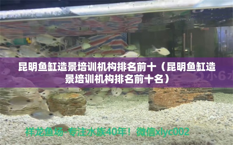 昆明魚缸造景培訓機構排名前十（昆明魚缸造景培訓機構排名前十名） 馬來西亞咖啡