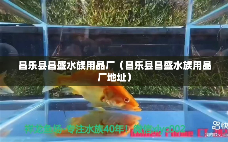 昌樂縣昌盛水族用品廠（昌樂縣昌盛水族用品廠地址） 水族用品