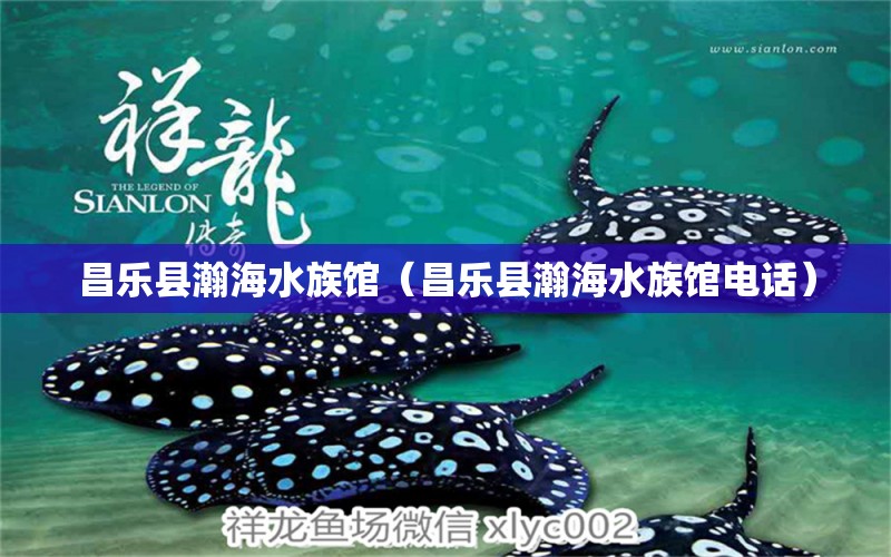 昌樂(lè)縣瀚海水族館（昌樂(lè)縣瀚海水族館電話）