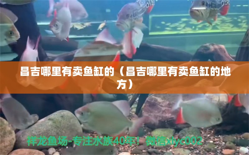 昌吉哪里有賣魚缸的（昌吉哪里有賣魚缸的地方） 廣州龍魚批發(fā)市場(chǎng)