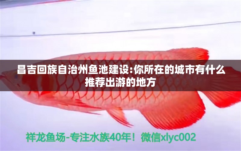 昌吉回族自治州魚池建設:你所在的城市有什么推薦出游的地方 錦鯉池魚池建設