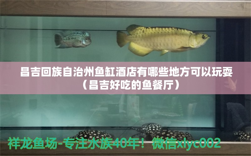 昌吉回族自治州魚缸酒店有哪些地方可以玩耍（昌吉好吃的魚餐廳）