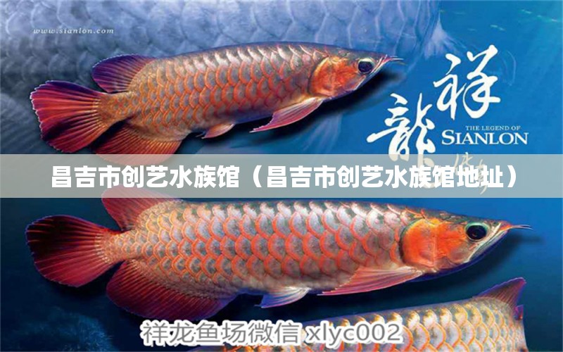 昌吉市創(chuàng)藝水族館（昌吉市創(chuàng)藝水族館地址）