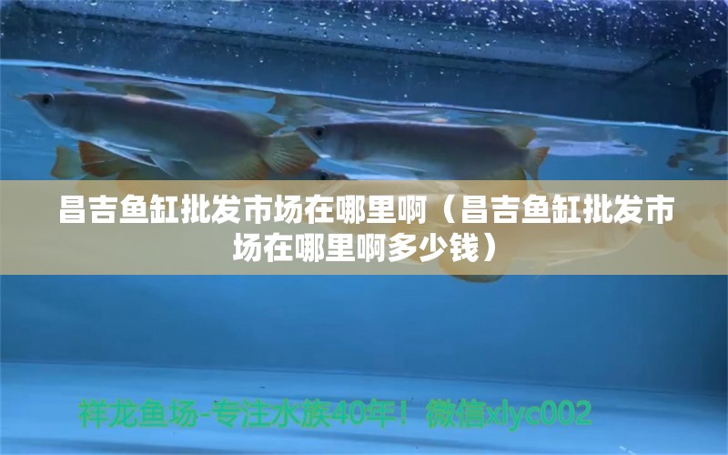 昌吉魚缸批發(fā)市場在哪里啊（昌吉魚缸批發(fā)市場在哪里啊多少錢） 其他品牌魚缸