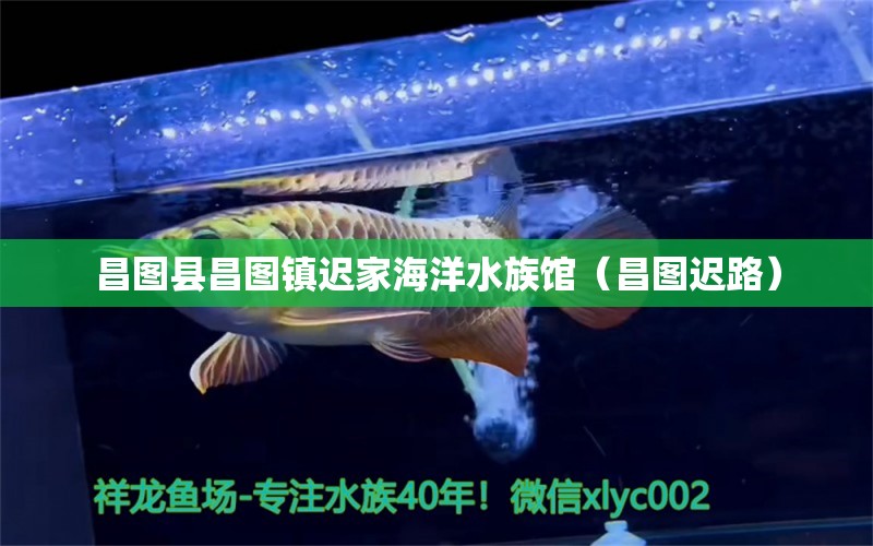 昌圖縣昌圖鎮(zhèn)遲家海洋水族館（昌圖遲路）