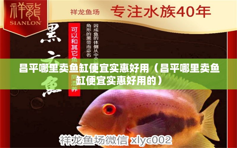 昌平哪里賣魚缸便宜實惠好用（昌平哪里賣魚缸便宜實惠好用的） 祥龍水族醫(yī)院