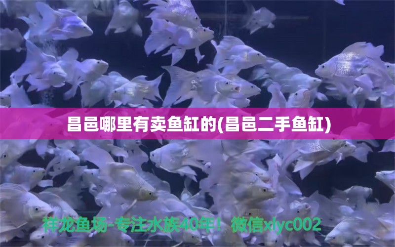 昌邑哪里有賣魚缸的(昌邑二手魚缸) 紅龍魚魚糧飼料