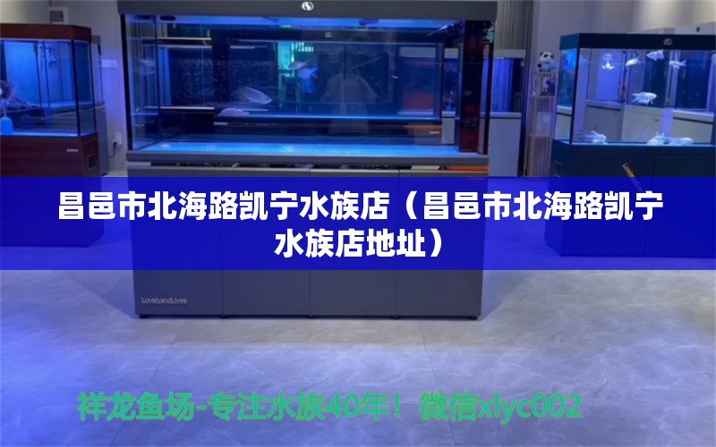 昌邑市北海路凱寧水族店（昌邑市北海路凱寧水族店地址） 全國水族館企業(yè)名錄