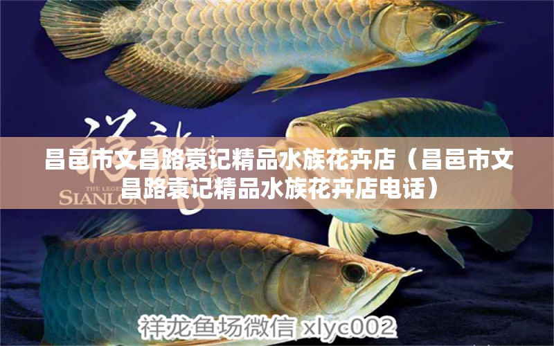 昌邑市文昌路袁記精品水族花卉店（昌邑市文昌路袁記精品水族花卉店電話） 全國(guó)水族館企業(yè)名錄