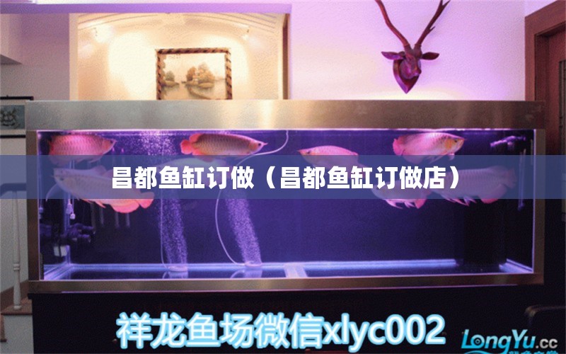 昌都魚缸訂做（昌都魚缸訂做店）