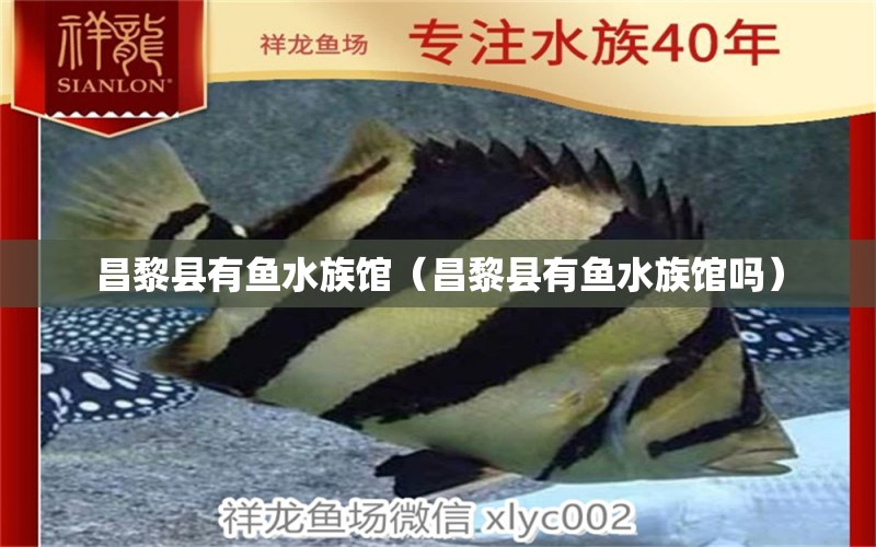 昌黎縣有魚水族館（昌黎縣有魚水族館嗎） 全國水族館企業(yè)名錄