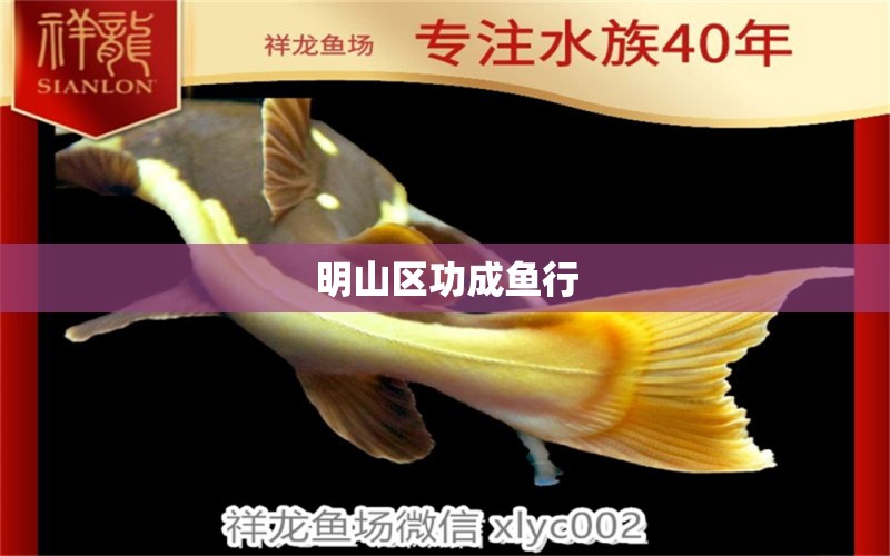 明山區(qū)功成魚(yú)行