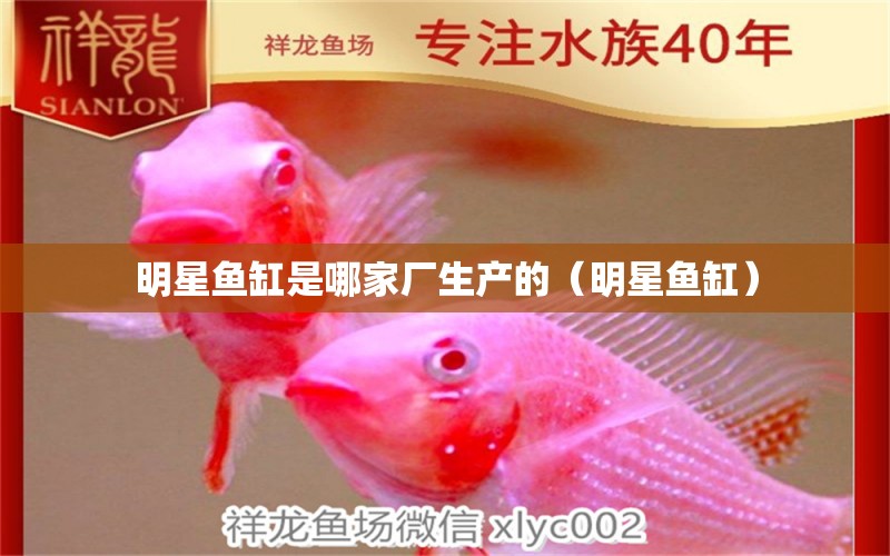 明星魚缸是哪家廠生產(chǎn)的（明星魚缸） 印尼小紅龍