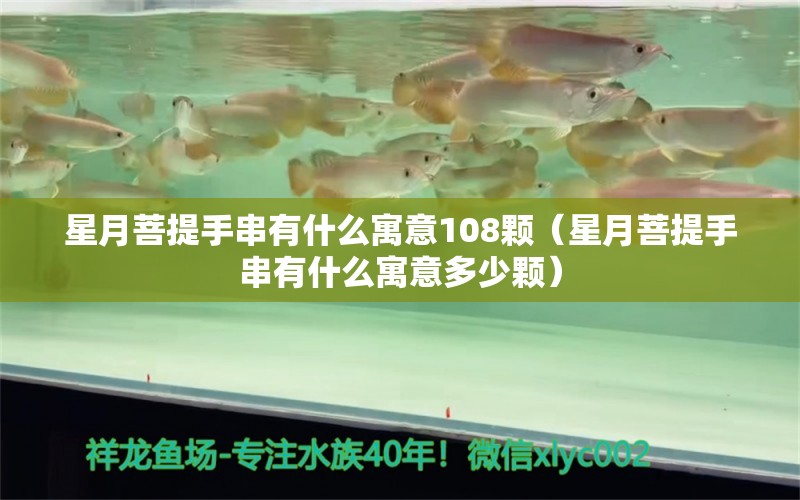 星月菩提手串有什么寓意108顆（星月菩提手串有什么寓意多少顆）