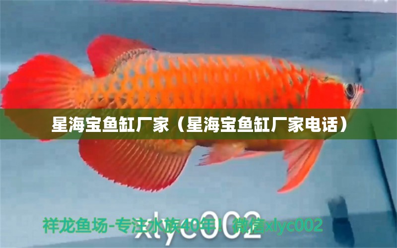 星海寶魚缸廠家（星海寶魚缸廠家電話） 祥龍魚場(chǎng)