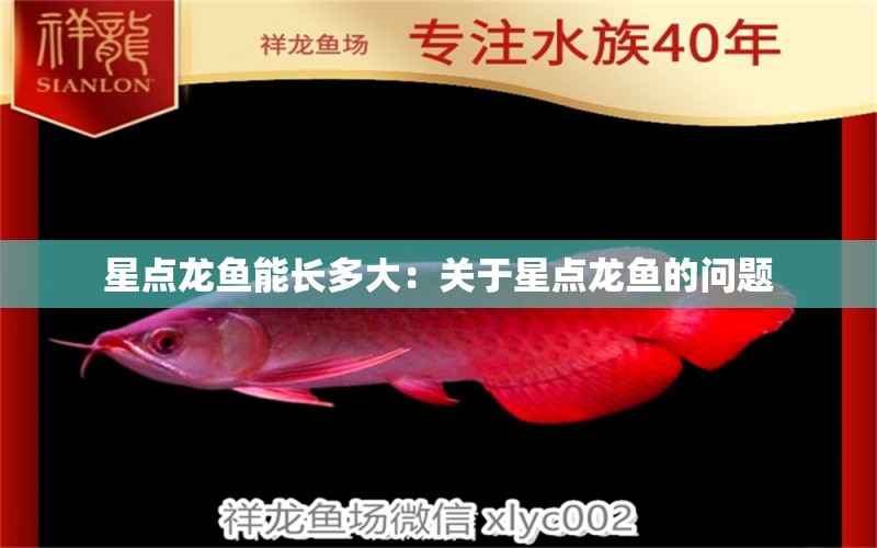 星點(diǎn)龍魚能長多大：關(guān)于星點(diǎn)龍魚的問題