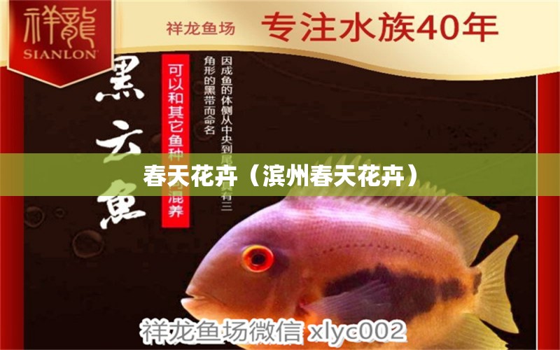 春天花卉（濱州春天花卉） 全國(guó)水族館企業(yè)名錄