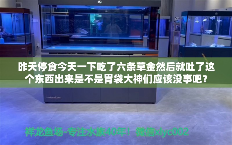 昨天停食今天一下吃了六條草金然后就吐了這個(gè)東西出來是不是胃袋大神們應(yīng)該沒事吧？ 翡翠鳳凰魚