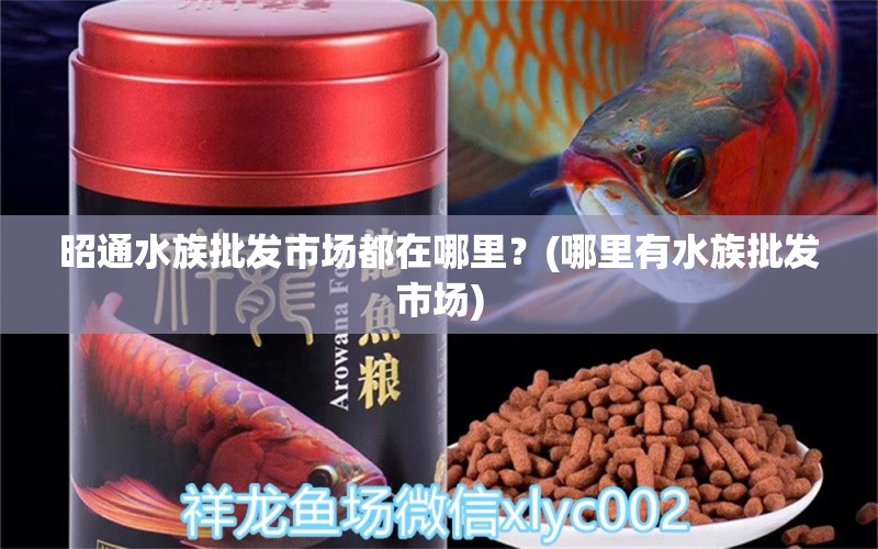 昭通水族批發(fā)市場都在哪里？(哪里有水族批發(fā)市場) 觀賞魚水族批發(fā)市場