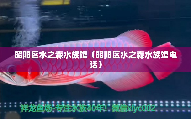 昭陽區(qū)水之森水族館（昭陽區(qū)水之森水族館電話）