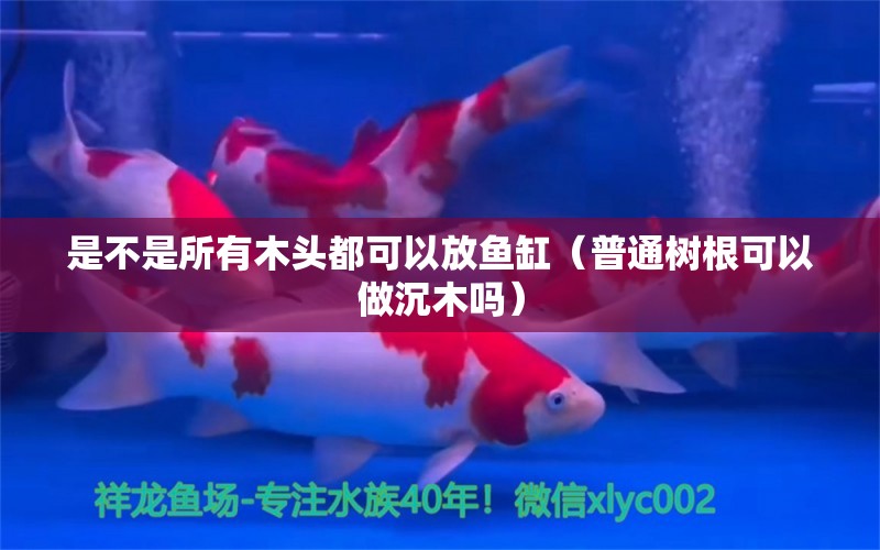 是不是所有木頭都可以放魚缸（普通樹根可以做沉木嗎） 其他品牌魚缸