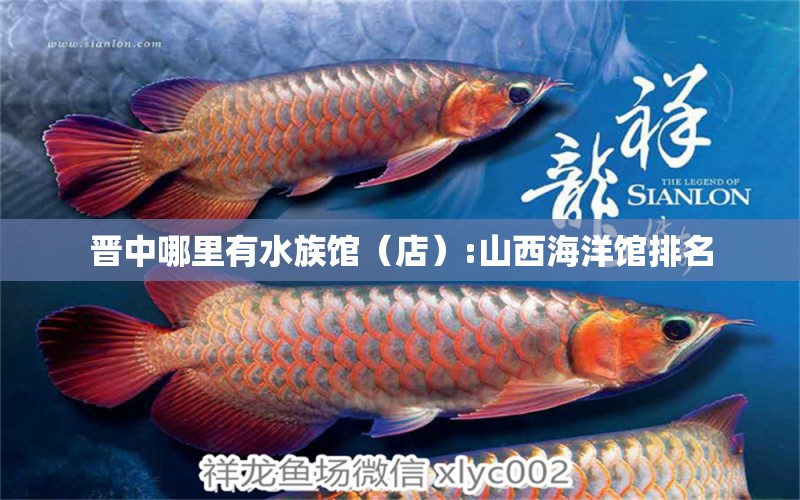 晉中哪里有水族館（店）:山西海洋館排名 觀賞魚水族批發(fā)市場