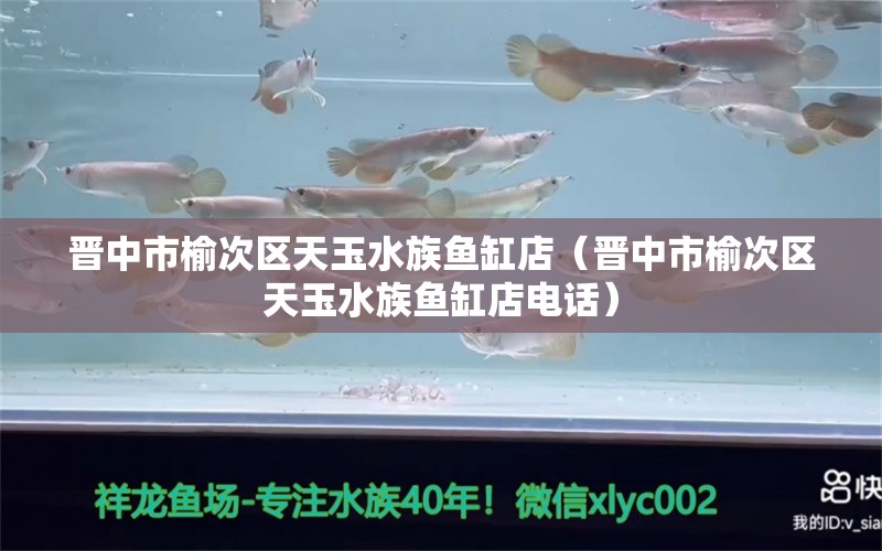 晉中市榆次區(qū)天玉水族魚(yú)缸店（晉中市榆次區(qū)天玉水族魚(yú)缸店電話）