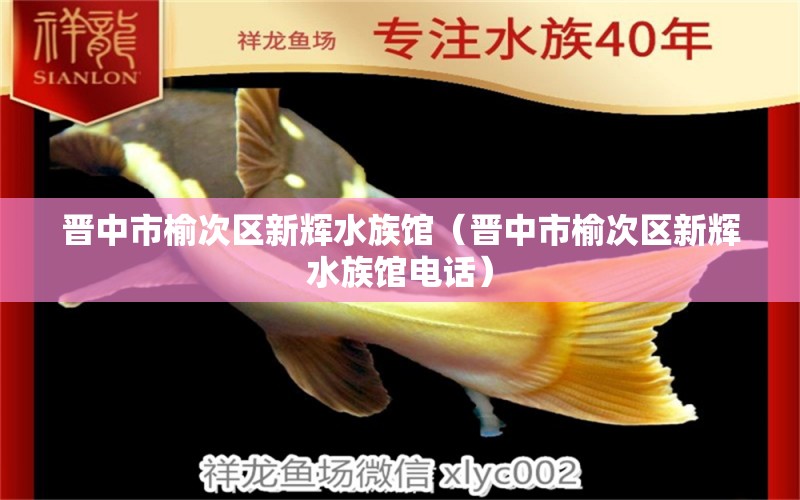 晉中市榆次區(qū)新輝水族館（晉中市榆次區(qū)新輝水族館電話）