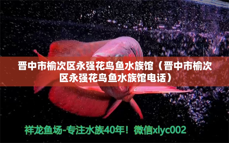 晉中市榆次區(qū)永強(qiáng)花鳥魚水族館（晉中市榆次區(qū)永強(qiáng)花鳥魚水族館電話） 全國(guó)水族館企業(yè)名錄