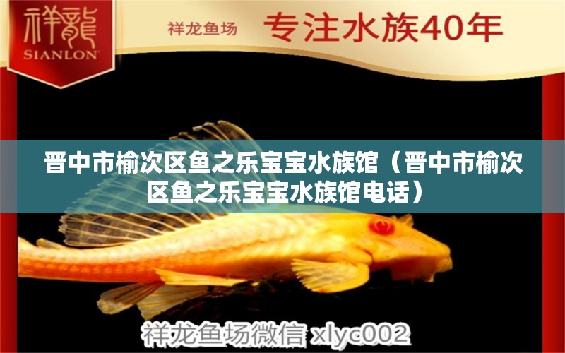 晉中市榆次區(qū)魚(yú)之樂(lè)寶寶水族館（晉中市榆次區(qū)魚(yú)之樂(lè)寶寶水族館電話）