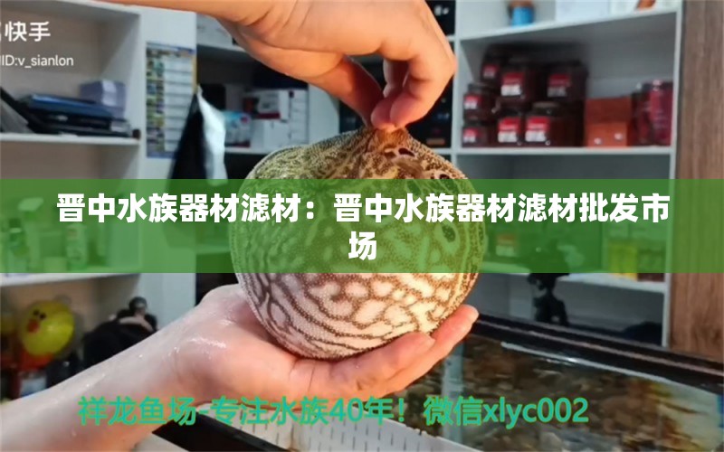 晉中水族器材濾材：晉中水族器材濾材批發(fā)市場 廣州水族器材濾材批發(fā)市場