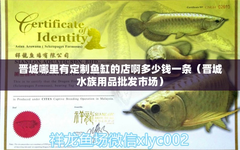 晉城哪里有定制魚缸的店啊多少錢一條（晉城水族用品批發(fā)市場）