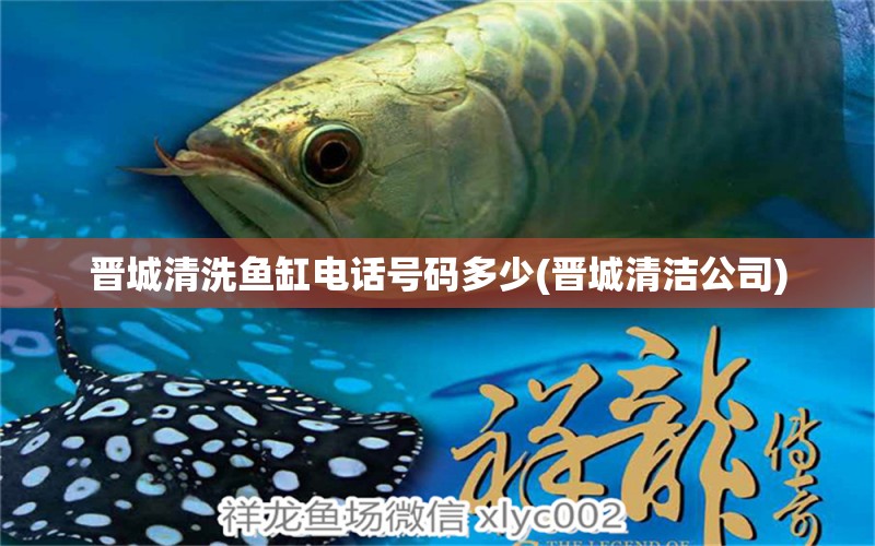 晉城清洗魚缸電話號碼多少(晉城清潔公司)