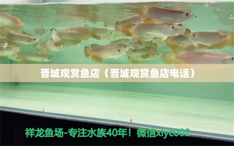 晉城觀賞魚店（晉城觀賞魚店電話） 觀賞魚市場