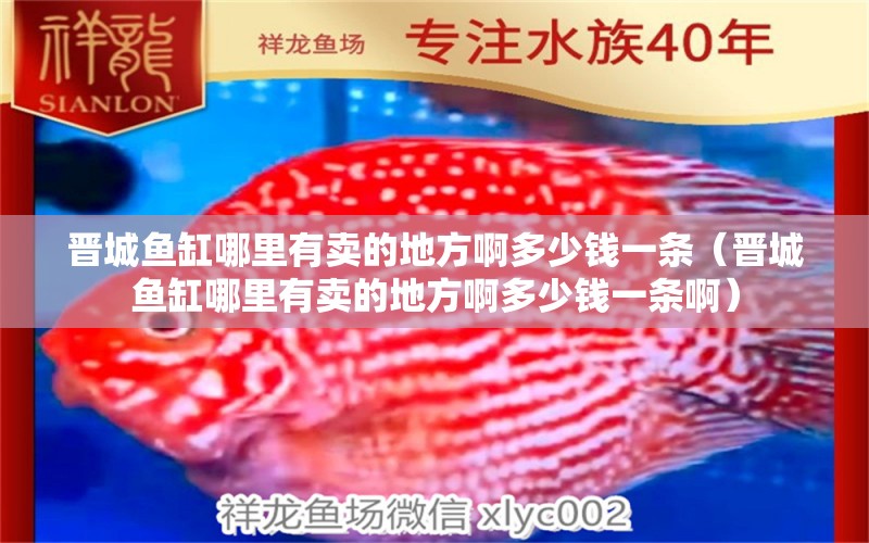 晉城魚(yú)缸哪里有賣(mài)的地方啊多少錢(qián)一條（晉城魚(yú)缸哪里有賣(mài)的地方啊多少錢(qián)一條?。?祥龍水族醫(yī)院