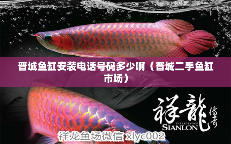 晉城魚缸安裝電話號碼多少?。〞x城二手魚缸市場） 觀賞魚批發(fā)