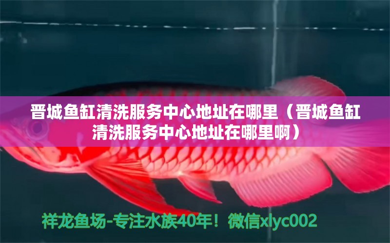 晉城魚(yú)缸清洗服務(wù)中心地址在哪里（晉城魚(yú)缸清洗服務(wù)中心地址在哪里?。?觀賞魚(yú)市場(chǎng)（混養(yǎng)魚(yú)）