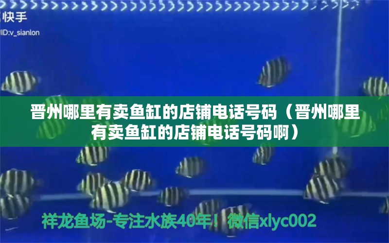 晉州哪里有賣魚缸的店鋪電話號碼（晉州哪里有賣魚缸的店鋪電話號碼?。? title=