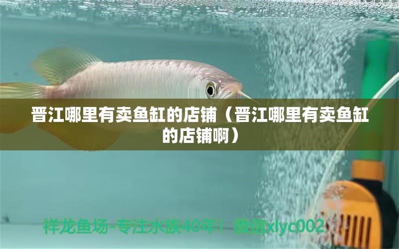 晉江哪里有賣魚缸的店鋪（晉江哪里有賣魚缸的店鋪?。? title=