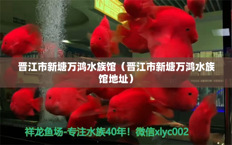 晉江市新塘萬鴻水族館（晉江市新塘萬鴻水族館地址）