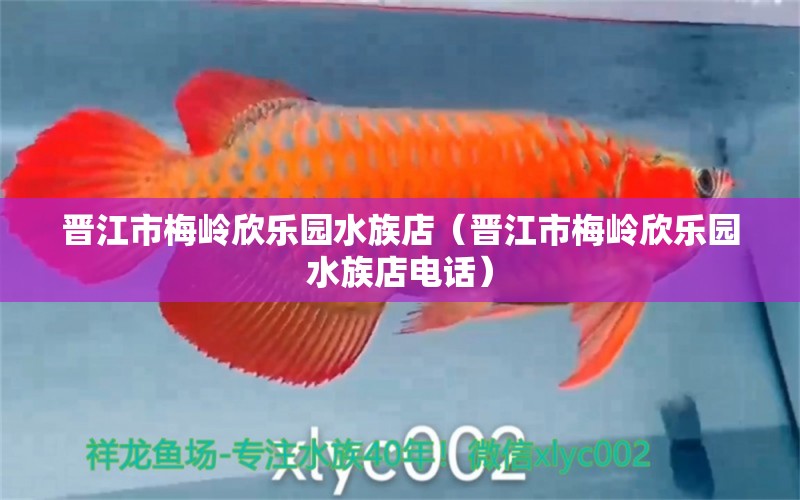 晉江市梅嶺欣樂園水族店（晉江市梅嶺欣樂園水族店電話）