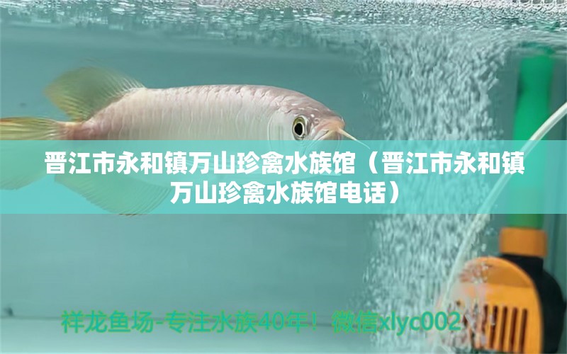 晉江市永和鎮(zhèn)萬(wàn)山珍禽水族館（晉江市永和鎮(zhèn)萬(wàn)山珍禽水族館電話）