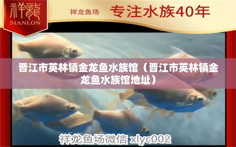 晉江市英林鎮(zhèn)金龍魚水族館（晉江市英林鎮(zhèn)金龍魚水族館地址）