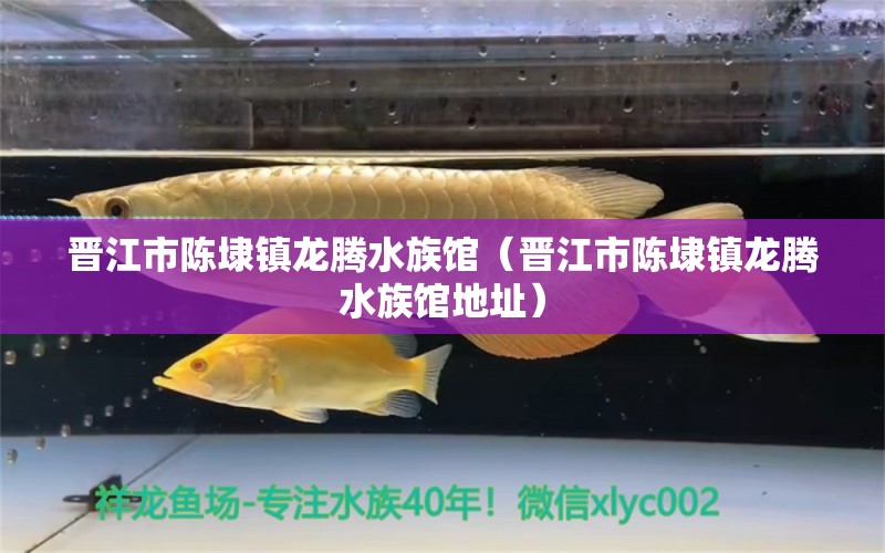 晉江市陳埭鎮(zhèn)龍騰水族館（晉江市陳埭鎮(zhèn)龍騰水族館地址） 全國(guó)水族館企業(yè)名錄